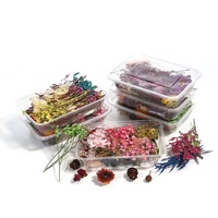 Mini flores de eucalipto secas hechas a mano, suministros decorativos artesanales mixtos para ocasiones navideñas, venta al por mayor, artesanía de Flores Navideñas