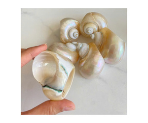 Anneaux de serviette de style tropical rustique, prix d'usine du Vietnam, pour les buffets - Product Image 3