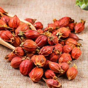 ผงดอกพุดเจ้าหญิง ยี่ห้อ BEST ผลิตในเวียดนาม อายุการเก็บรักษา 12 เดือน รุ่นฮอลิเดย์ เวียดเดลต้า - Product Image 6