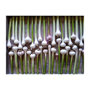 Grado superior al por mayor de ajo pelado fresco para la venta en el precio barato - Product Image 6