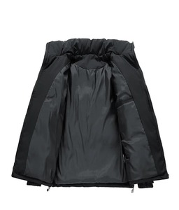 Veste en coton rembourrée de haute qualité pour hommes, coupe-vent à capuche et col montant, parka courte à la mode pour l'automne et l'hiver, manteau coupe-vent - Product Image 2