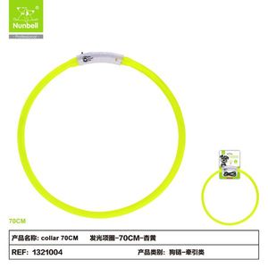 Collare Fluorescente per Cani, Accessorio di Sicurezza Facile da Vedere in Ambienti Scuri - Product Image 1