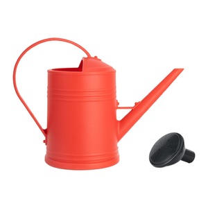 Arrosoir en métal design avec finition argent brossé adapté à la maison moderne, au jardin et à l'affichage des plantes d'intérieur - Product Image 4