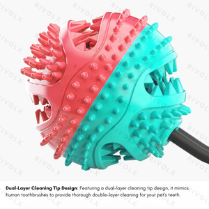 Jouet pour chien en vente flash, combo de jouets, nouveau best-seller, corde à tirer, entraînement, résistant aux morsures, distributeur de friandises - Product Image 6