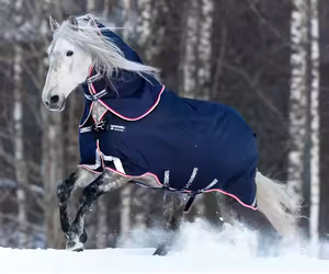 Alfombra de caballo de invierno todo en uno con forro polar impermeable y sábana de Manta estándar para una protección completa contra el clima frío - Product Image 3
