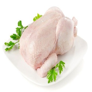 Ventes en gros de poulets entiers congelés halal, poulets entiers congelés, best-sellers - Product Image 5