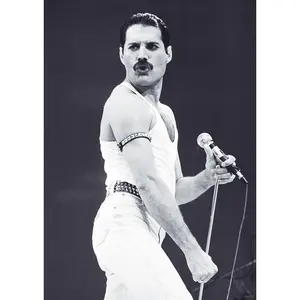 Póster de Queen, Freddie Mercury, Estilo Colgante, Impresión Digital en Vinilo, Tamaño Queen - Product Image 1