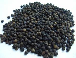 ESPECIAS CALIENTES Semillas de pimienta negra secas de alta calidad Raw New Crop 580g/L Precio de fábrica Hanfimex Top Vietnam WhatsApps 0084374074818 - Product Image 6