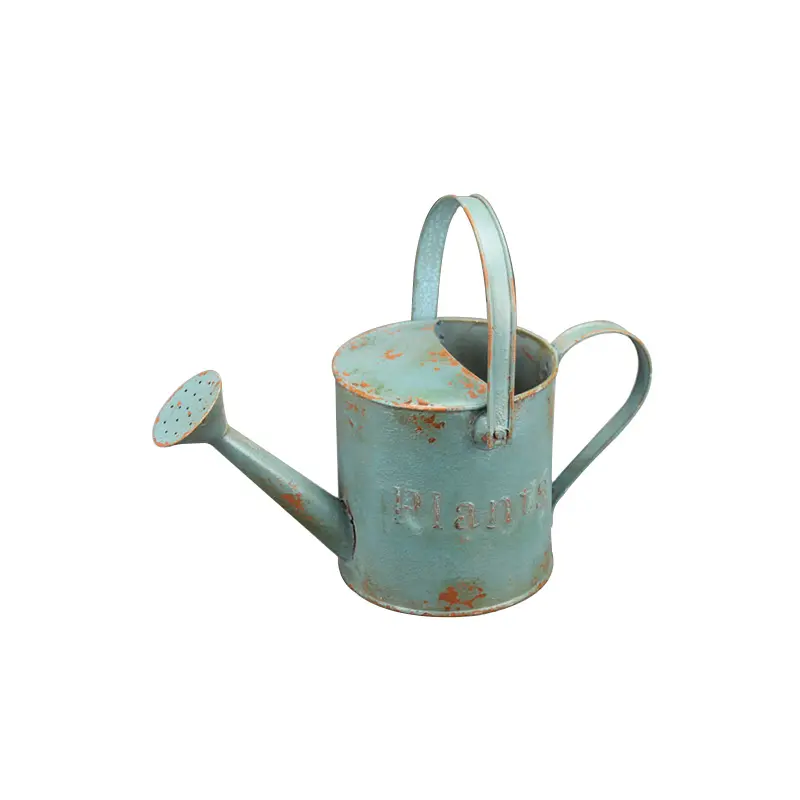 Hot Selling Iron Water Can for Home Garden & Plant Watering Can with Rusted Antique Finish Aqua Blue