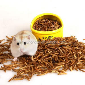 Lombrichi secchi naturali 150g cibo per uccelli passeri Robins uccelli azzurri - Product Image 1