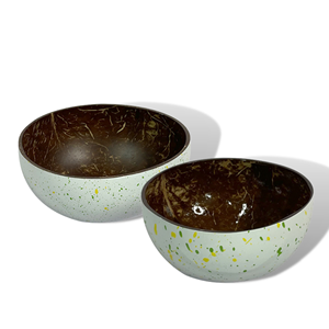 ชามมะพร้าว2023ดีไซน์วาดด้วยมือเป็นมิตรกับสิ่งแวดล้อมและเปลือกมะพร้าวธรรมชาติพร้อมช้อน PE - Product Image 1