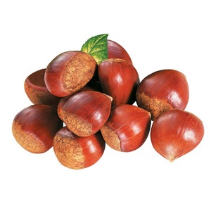 Châtaignes pelées biologiques, collation fraîche et sèche, châtaignes brutes biologiques saines, prix de gros compétitif, en vente - Product Image 5