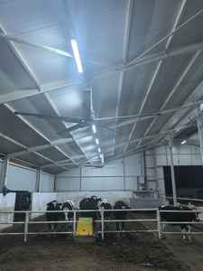 พัดลมอัจฉริยะ cowair hvls 400ครอบคลุมกว้าง - Product Image 2