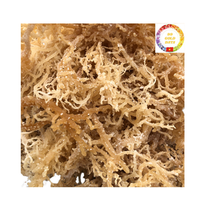 Mousse de mer séchée à haute valeur nutritive du Vietnam, biologique et durable, idéale pour les commandes en gros - Product Image 1