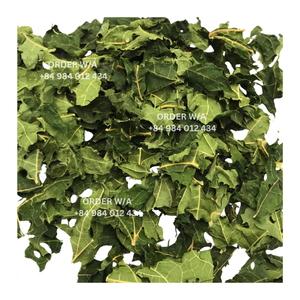 Achetez des feuilles de papaye séchées à des taux de gros Options abordables pour le thé Carica Papaya et les commandes en gros Ventes FBA FBM AMZ - Product Image 5