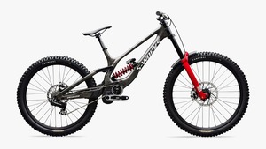 VENTAS POR SUBASTA: Bicicleta Specialized S-Works Demo 11 SRAM XX DH, RockShox Ultimate DH - Product Image 3