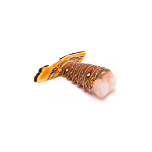 Prix d'usine Homard royal prêt pour la distribution en gros et l'exportation - Product Image 5