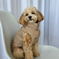 À la mode luxe mignon matelassé réversible velours gilet petits chiens solide motif vêtements pour animaux de compagnie fausse fourrure doublure Portable Cardigan