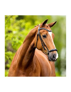 Bridon en cuir pour cheval avec design anatomique et sangles réglables pour l'équitation - Product Image 5