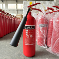 Extincteur à CO2 Jiayi de haute qualité 2 kg 5 kg 10 kg ISO CE Extincteur portable en acier au carbone classe A