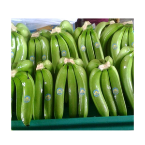 Venta al por mayor CAVENDISH BANANA Precio bajo MOQ Pegatina personalizada según lo solicitado Fruta fresca Plátano congelado - Product Image 1
