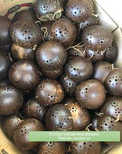 Pot pour plantes en coquille de noix de coco 100% biologique, Pot de fleurs en coque de noix de coco, Design à personnaliser par ec2go du Vietnam, offre spéciale - Product Image 2