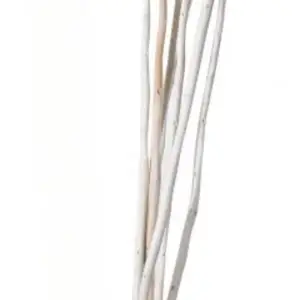 Piquets de jardin en bambou de bâton ondulé original de canne naturelle écologique 100% pour la plantation d'agriculture