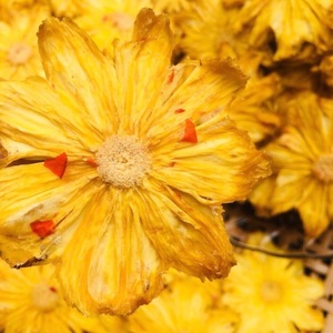 Ananas séchés au sel et au piment-ananas séchés origine Vietnam - Product Image 1