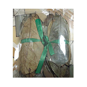 CHEAPEST PRICE DRIED SOURSOP LEAF/ GRAVIOLA LEAVES FROM VIETNAM - Product Image 1