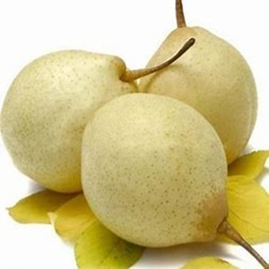 Offre Spéciale de poires jaunes croustillantes, juteuses et sucrées Ya à vendre au prix de gros - Product Image 5
