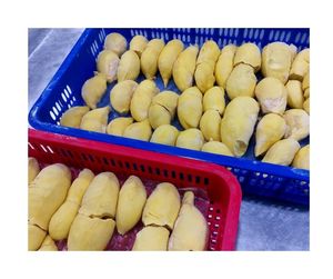 Segments de durian congelés IQF de qualité supérieure pour conserver la saveur-Durian congelé prêt à manger idéal pour le marché de la vente au détail et des desserts - Product Image 2