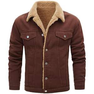 Blouson en jean d'hiver personnalisé 2026 pour hommes – Couleurs sur mesure, grandes tailles, prix bas, à capuche, coupe-vent, logo frontal - Product Image 1