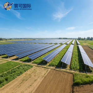 Hoogbouw Dual Income Solar Structuur voor grootschalige landbouwprojecten Agri PV aanvullend montagesysteem - Product Image 6