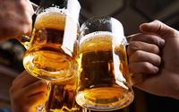 Canettes de bière HAN-OI exportées 330ml-Bière de malt d'orge-Meilleur prix Fournisseurs de bière vietnamiens pour voyage, extérieur, camping, tous les jours