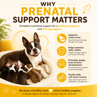 Complément prénatal pour chiens, croquettes molles pour le développement des chiots, pour les mamans canines gestantes, soins de lactation, marque privée, vente en gros, B2B