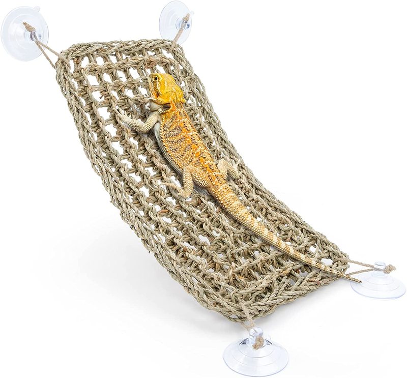 Rectangle Seagrass Bearded Dragon Hammock Reptile