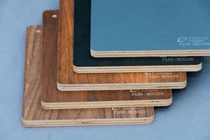 Diseño moderno ODM Muebles 1220X2440 Tablero de chapa de melamina Película de madera contrachapada Cómodos armarios de hotel Mesas Apartamentos - Product Image 2