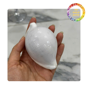 Conchas de cauri naturales | Precio a granel para diseñadores de joyas y amantes de la decoración | Venta caliente de conchas marinas 2025 - Product Image 5