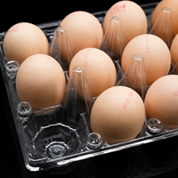 Bandeja para Huevos de 15 Unidades, Transparente, de Plástico PET, Apilable, Tipo Concha, para Granjas Avícolas, Comercios Minoristas y Centros de Empacado de Huevos