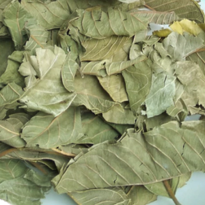 Prix de gros 100% Thé aux feuilles de goyave en sachet Thé aux feuilles de goyave biologique du Vietnam - Product Image 4