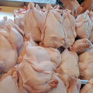 Poulet entier congelé halal de haute qualité |   Poulet entier de qualité supérieure, emballé sous vide, origine américaine, approvisionnement en gros - Product Image 4