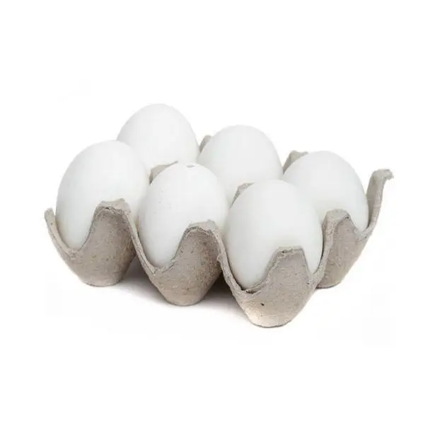 Uova da tavola di pollo fresche da fattoria uova di gallina con guscio marrone e bianco acquisto all'ingrosso fornitore di uova bianche biologiche al 100%