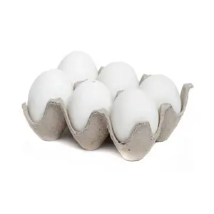 Farm Fresh Chicken Table Eggs Brown and White Shell Chicken Eggs Bulk Purchase 100% Organic White Eggs Supplier