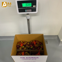 Verse Mangosteen Uit Thailand-Koningin Van Fruit, Vol Van Smaak, Zoet En Rijk Aan Gezondheidsvoordelen