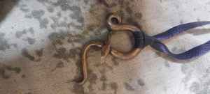 Pendentifs d'ancre en porcelaine d'argile en céramique forgée à la main sur mesure-Pièce unique Wearable Art Celebrating Strength Craftsmanship Gift - Product Image 2