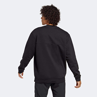 Sweat-shirt à col rond en coton 100% de haute qualité, lourd, personnalisable avec logo, vierge, coupe oversize, imperméable, broderie 3D, imprimé pour l'hiver