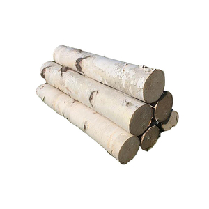 Fournisseur de grumes de bouleau de haute qualité avec des tailles personnalisables pour les acheteurs en vrac - Product Image 6