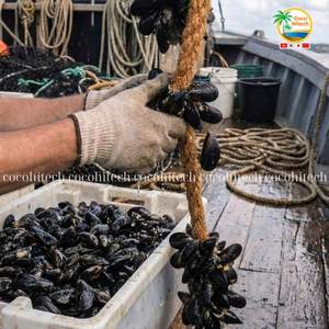 Cuerda de Coco Natural para Acuicultura – Biodegradable - Product Image 6