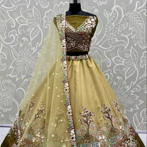 <b>Rainbow</b> Shaded <b>Sequins</b> Work Partywear Lehenga choli - Product Image 1