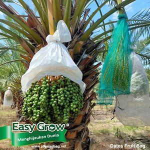 Trái Cây Bìa Chất Lượng Tốt PP Không Dệt Vải Chống UV Phụ Gia Bảo Vệ Rau Quả Nhà Máy Tùy Chỉnh Màu Sắc Biểu Tượng Trái Cây Bao Gồm - Product Image 5